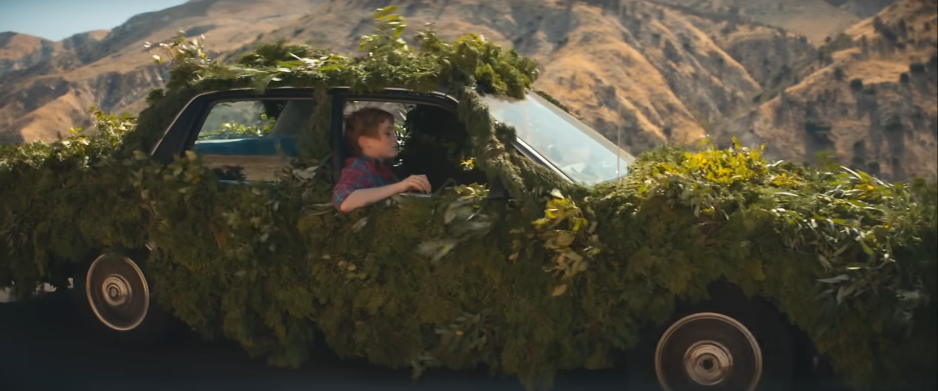 The War on Drugs: Nothing to Find